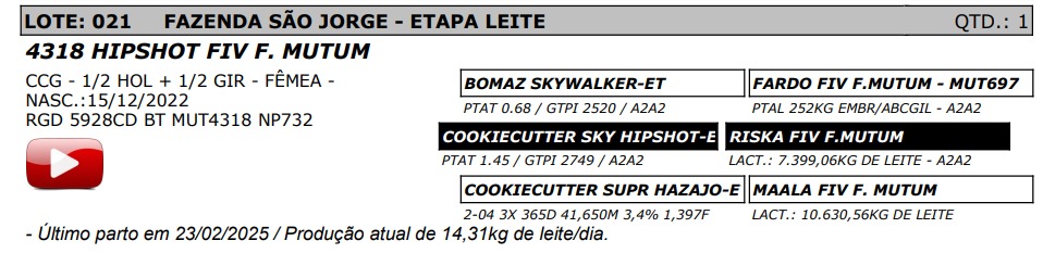 LOTE 21 - 4318 HIPSHOT FIV F. MUTUM - NP 732