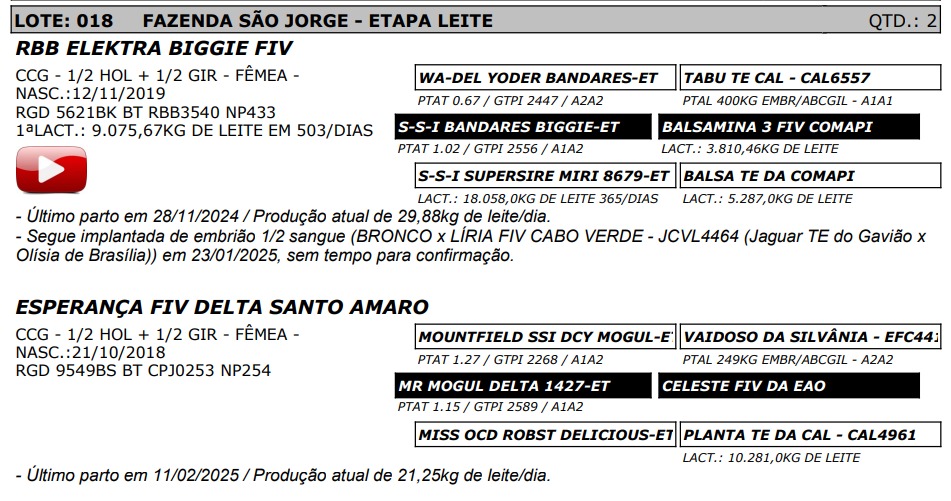 LOTE 18 - RBB ELEKTRA BIGGIE FIV - NP 433 / ESPERANÇA FIV DELTA SANTO AMARO - NP 254