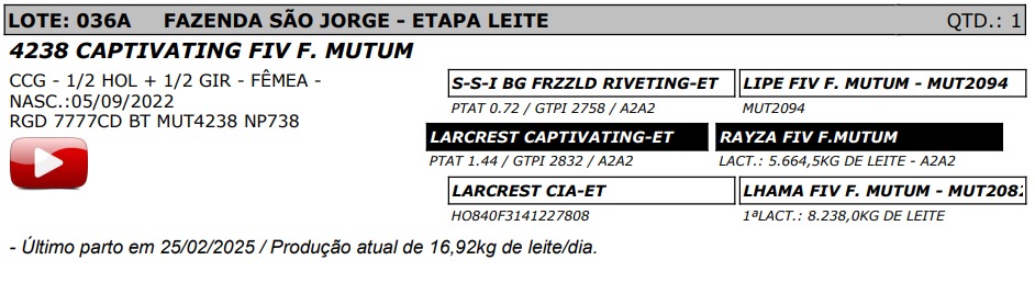 LOTE 36A - CAPTIVATING FIV F. MUTUM - NP 738