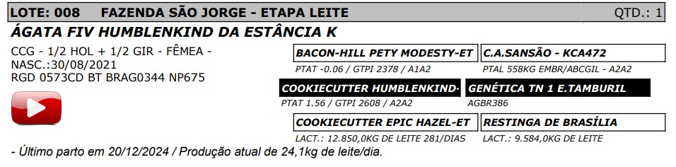 LOTE 08 - ÁGATA FIV HUMBLENKIND DA ESTÂNCIA K - NP 675
