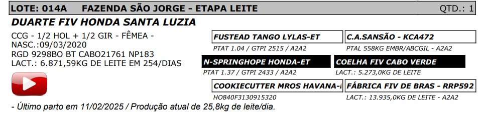 LOTE 14A - DUARTE FIV HONDA SANTA LUZIA - NP 183