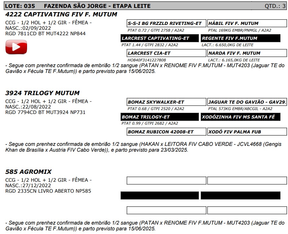 LOTE 35 - 4222 CAPTIVATING FIV F. MUTUM - NP 844 / 3924 TRILOGY MUTUM - NP 731 / AGROMIX - NP 585