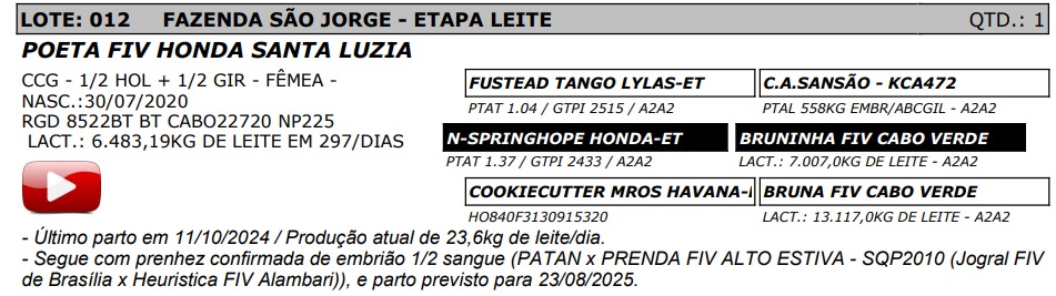 LOTE 12 - POETA FIV HONDA SANTA LUZIA - NP 225