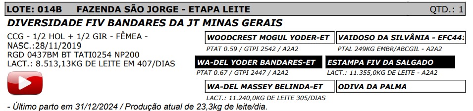 LOTE 14B - DIVERSIDADE FIV BANDARES DA JT MINAS GERAIS - NP 200