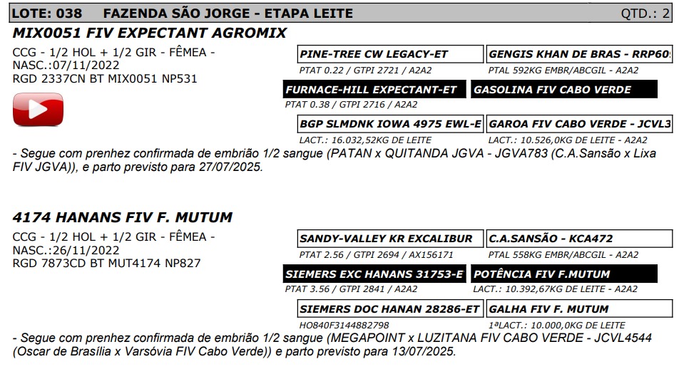 LOTE 38 - MIX0051 FIV EXPECTANT AGROMIX - NP 531 / 4174 HANANS FIV F. MUTUM - NP 827
