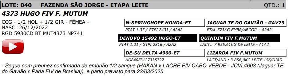 LOTE 40 - HUGO FIV F. MUTUM - NP 741