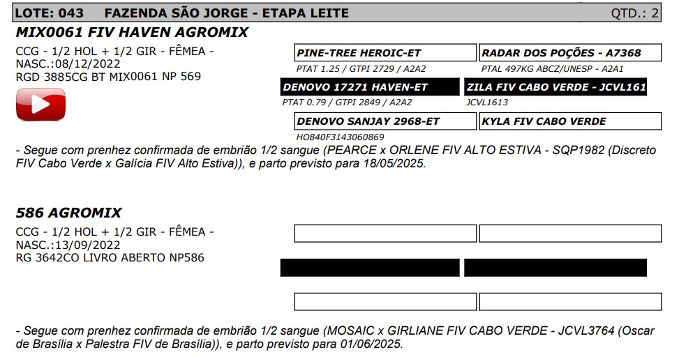 LOTE 43 - MIX0061 FIV HAVEN AGROMIX - NP 569 / AGROMIX - NP 586