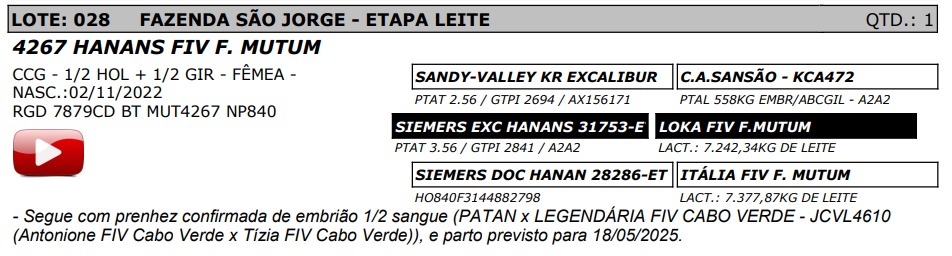 LOTE 28 - 4267 HANANS FIV F. MUTUM - NP 840