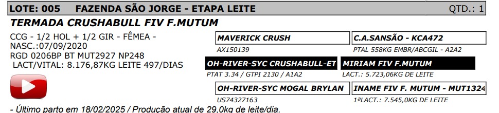 LOTE 05 - TERMADA CRUSHBULL FIV F. MUTUM - NP 248