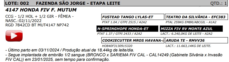 LOTE 02- 4147 HONDA FIV F. MUTUM - NP 742