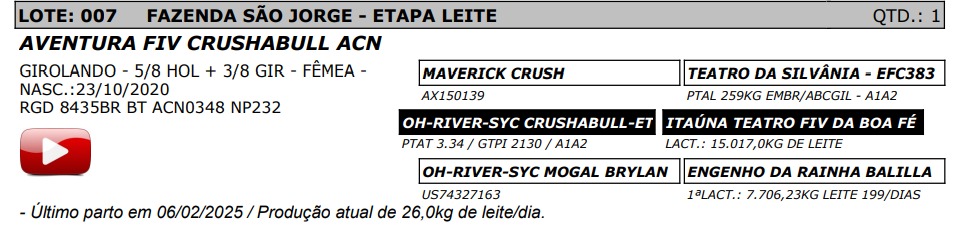 LOTE 07 - AVENTURA FIV CRUSHABULL ACN - NP 232