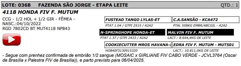 LOTE 36B - 4118 HONDA FIV F. MUTUM - NP 843