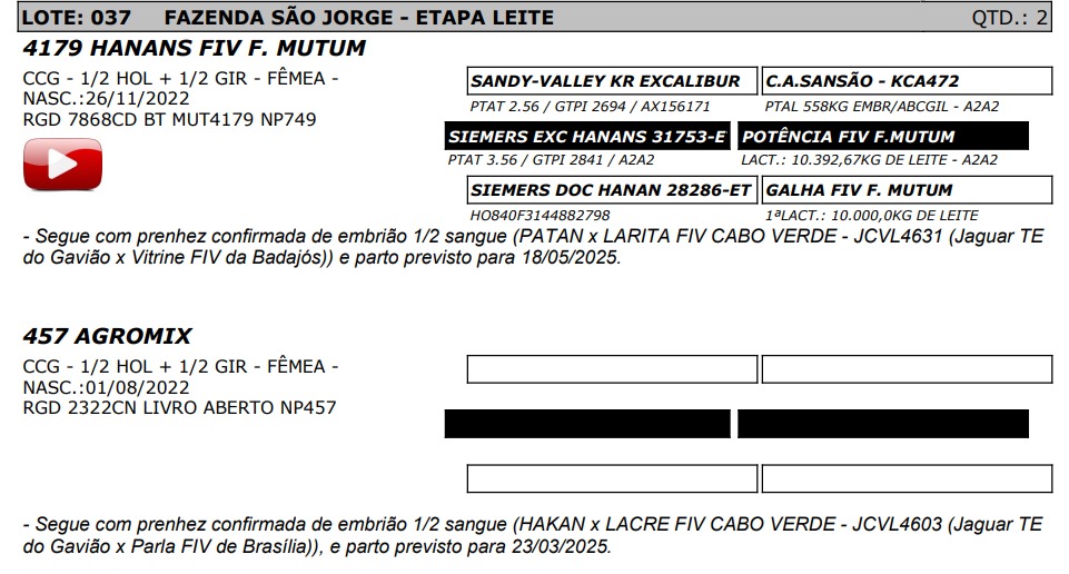 LOTE 37 - 4179 HANANS FIV F. MUTUM - NP 749  / AGROMIX - NP 457