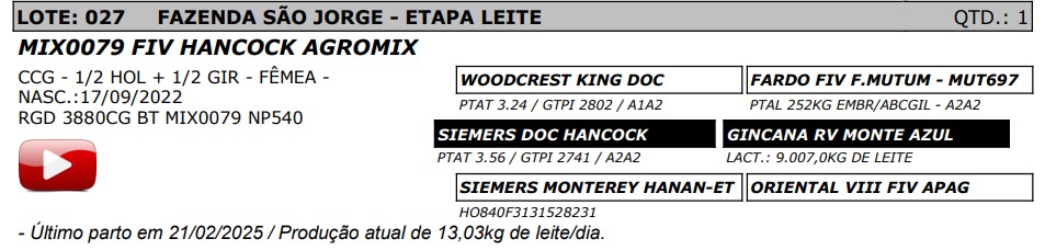 LOTE 27 - MIX0079 FIV HANCOCK AGROMIX - NP 540
