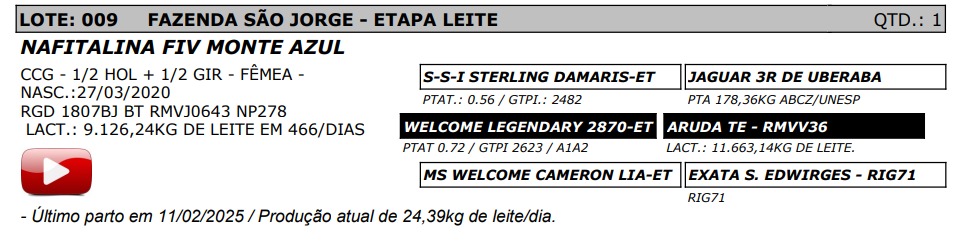 LOTE 09 - NAFITALINA FIV MONTE AZUL - NP 278