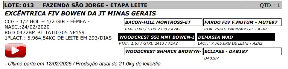 LOTE 13 - EXCÊNTRICA FIV BOWEN DA JT MINAS GERAIS - NP 159