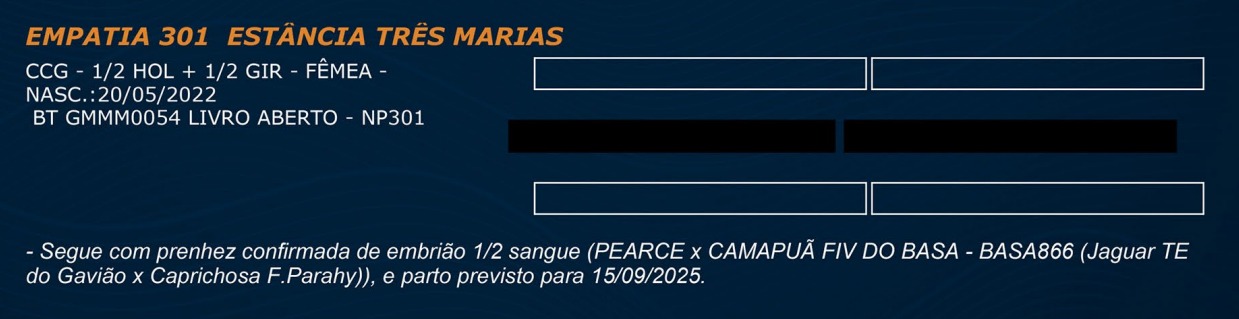 LOTE 40 - EMPATIA 301 ESTÂNCIA TRÊS MARIAS