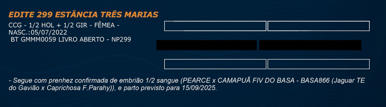 LOTE 36 - EDITE 299 ESTÂNCIA TRÊS MARIAS