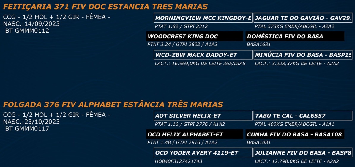 LOTE 67 - FEITIÇARIA 371 FIV DOC - FOLGADA 376 FIV ALPHABET