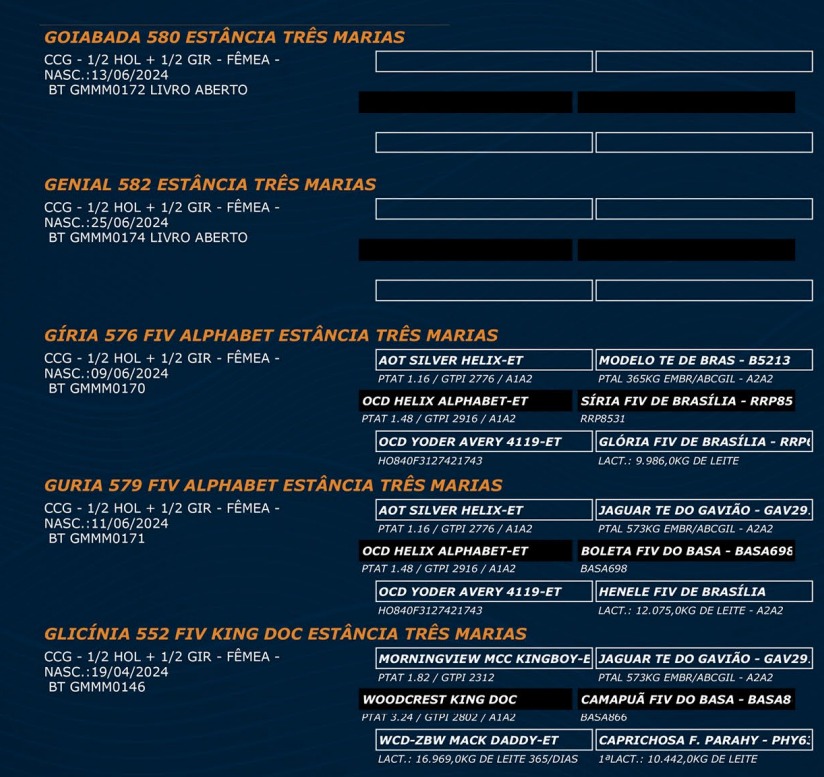LOTE 70 - GOIABADA 580 - GENIAL 582 - GÍRIA 576 FIV ALPHABET - GURIA 579 FIV ALPHABET - GLICÍNIA 5