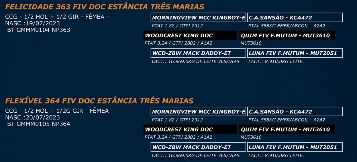 LOTE 50 - FELICIDADE 363 FIV DOC - FLEXÍVEL 364 FIV DOC