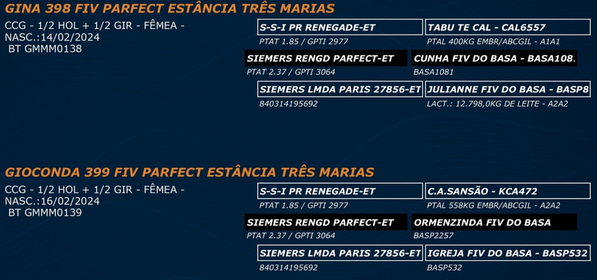 LOTE 66 - GINA 398 FIV PARFECT - GIOCONDA 399 FIV PARFECT