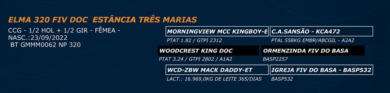 LOTE 49 - ELMA 320 FIV DOC