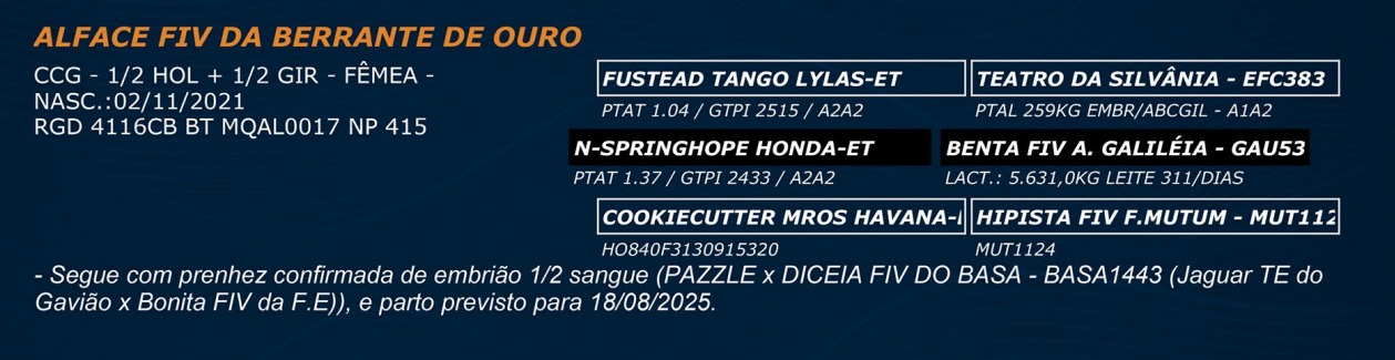 LOTE 39 - ALFACE FIV DA BERRANTE DE OURO