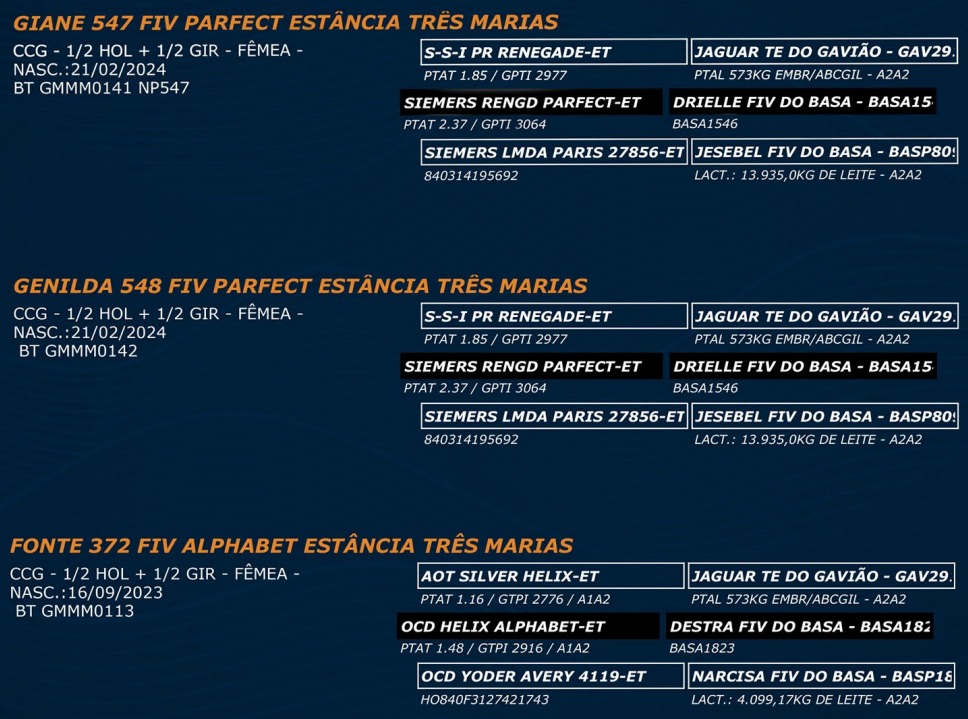 LOTE 63 - GENILDA 548 FIV PARFECT - FONTE 372 FIV ALPHABET - FLECHA 377 FIV ALPHABET