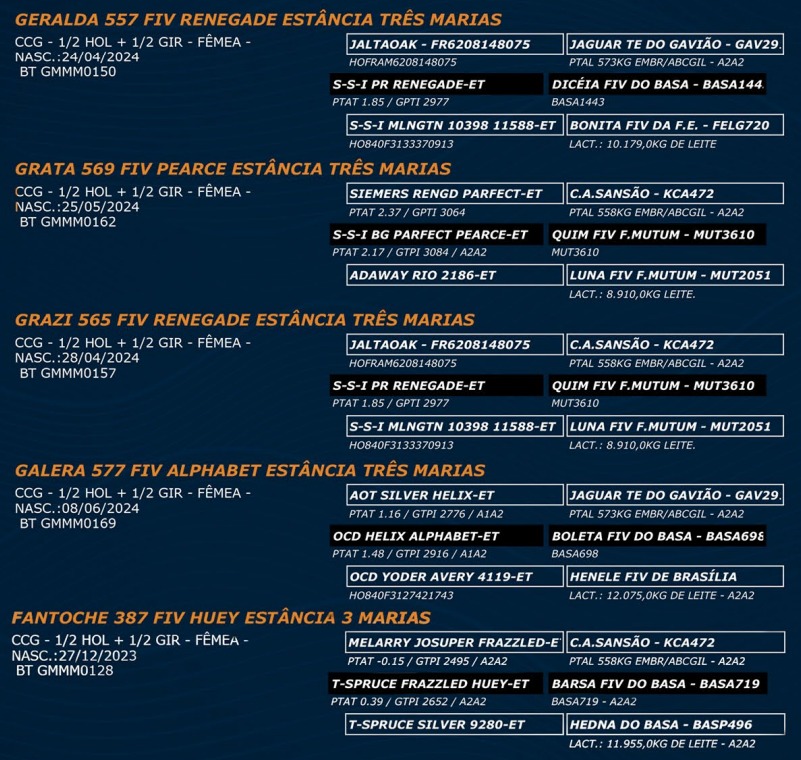 LOTE 68 - GERALDA 557 FIV - GRATA 569 FIV - GRAZI 565 FIV - GALERA 577 FIV - GLAMOUR 587 FIV