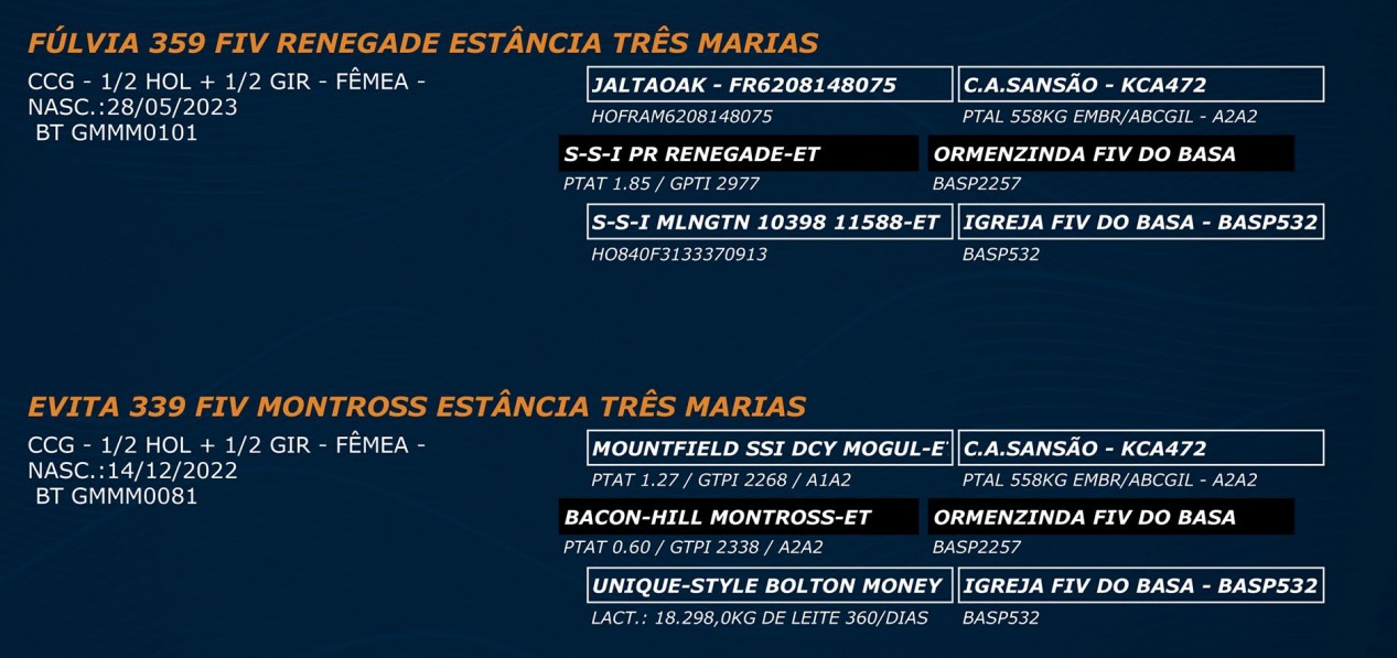 LOTE 53 - FÚLVIA 359 FIV RENEGADE - EVITA 339 FIV MONTROSS