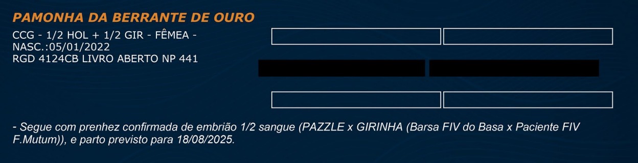 LOTE 45 - PAMONHA DA BERRANTE DE OURO
