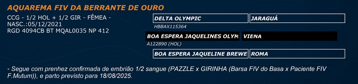 LOTE 38 - AQUAREMA FIV DA BERRANTE DE OURO