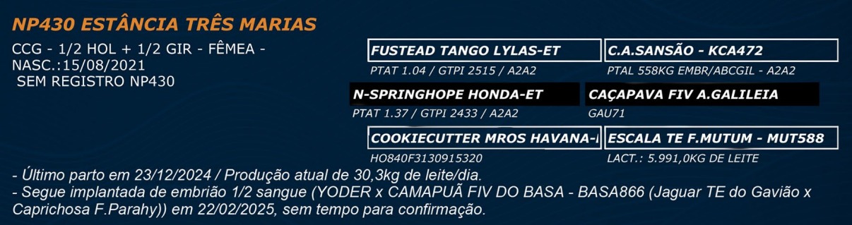 LOTE 73 - NP 430 ESTÂNCIA TRÊS MARIAS