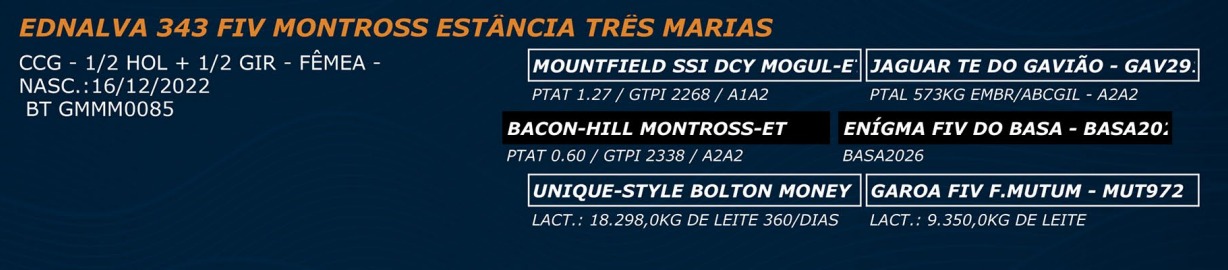 LOTE 55 - EDNALVA 343 FIV MONTROSS