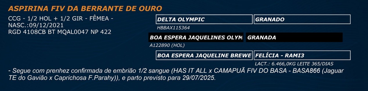 LOTE 37 - ASPIRINA FIV DA BERRANTE DE OURO
