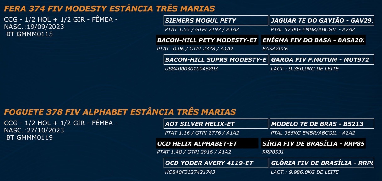 LOTE 58 - FERA 374 FIV MODESTY - FOGUETE 378 FIV ALPHABET