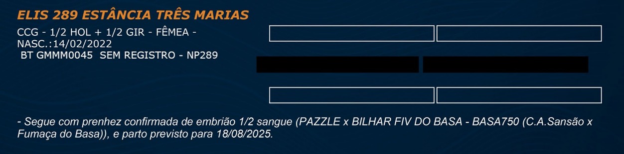 LOTE 42 - ELIS 289 ESTÂNCIA TRÊS MARIAS