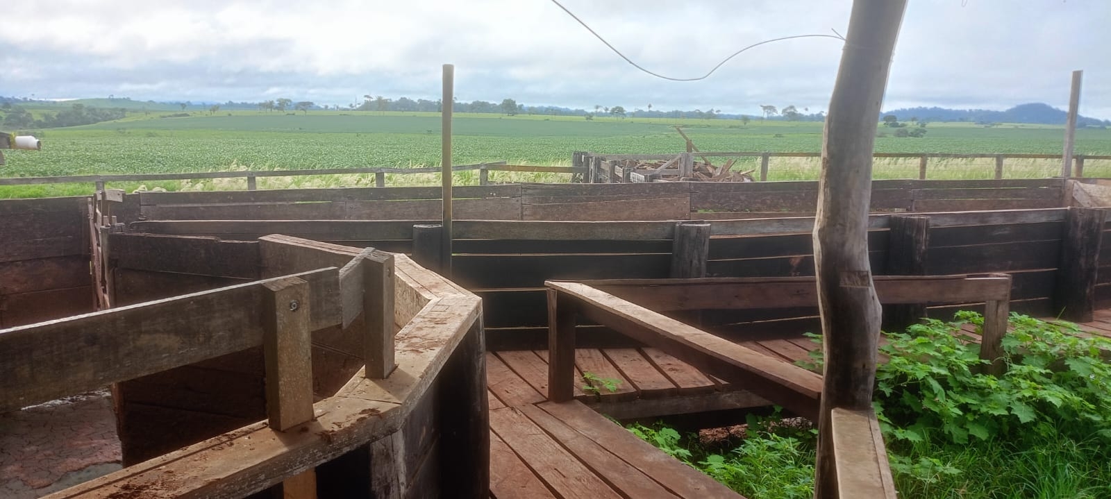 fazenda dupla aptidão