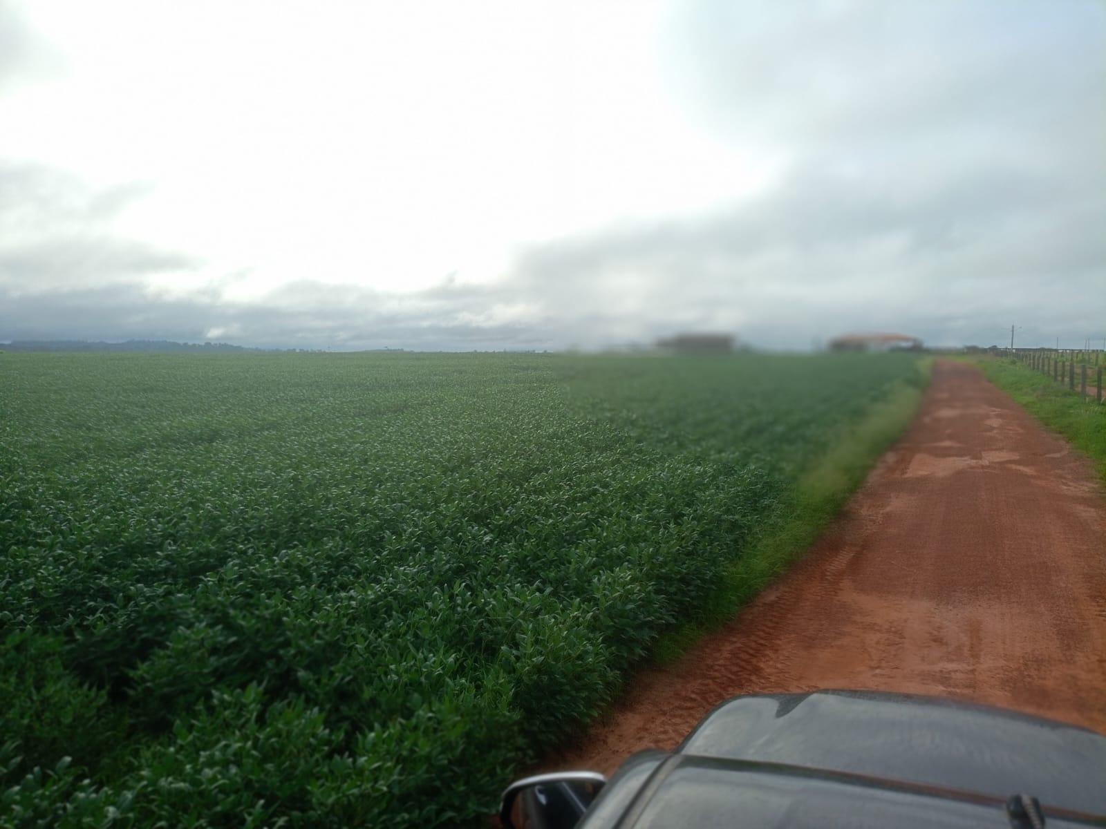 fazenda dupla aptidão