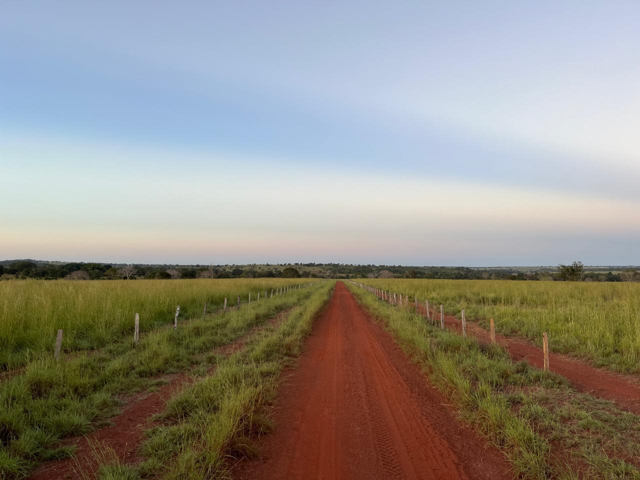 fazenda de oportunidade no município do estado do Mato Grosso,está em crescimento preço ótimo ,o proprietário é bom de Negócio