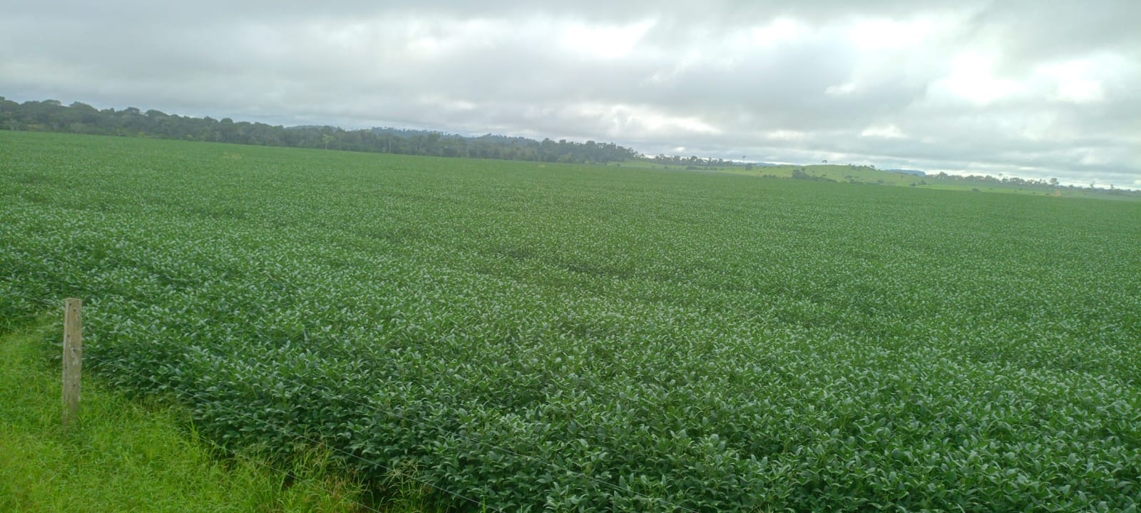 fazenda dupla aptidão