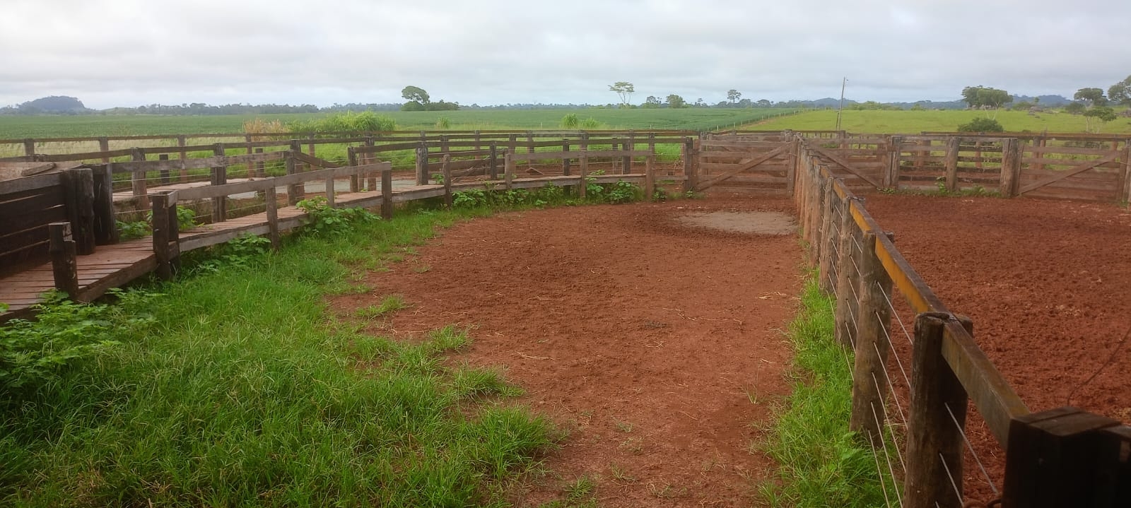 fazenda dupla aptidão