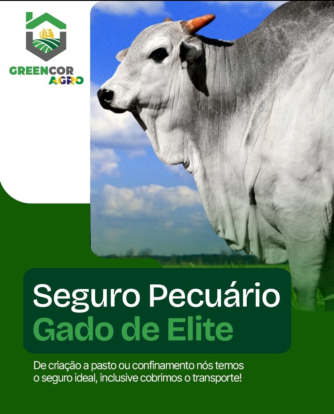 Seguro para Animais Gado Elite