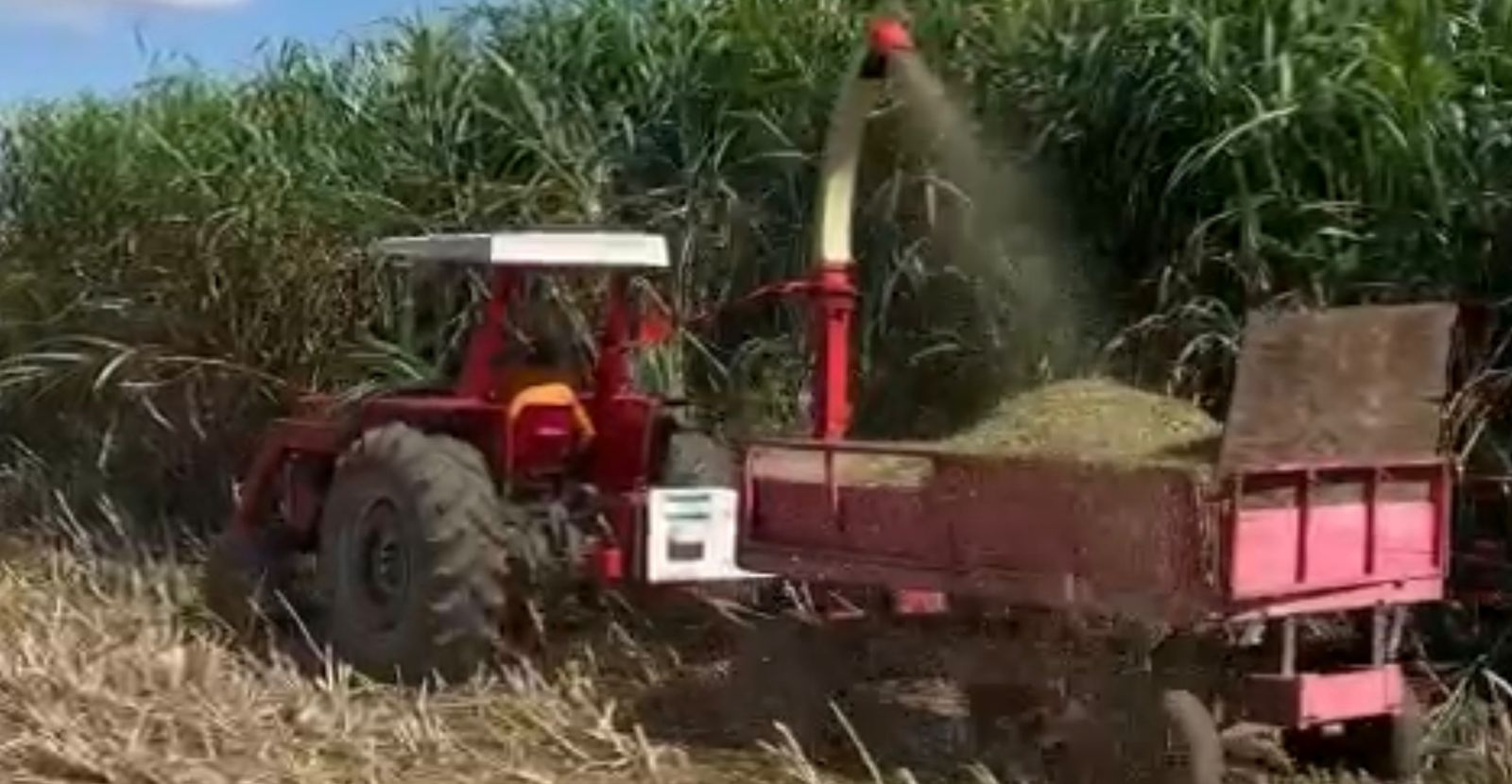 Trator Massey Ferguson 275 com Capota, Motor Feito (50H), Direção H, Lâmina Baldan e Comando Duplo!