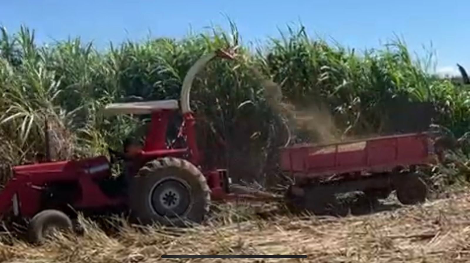 Trator Massey Ferguson 275 com Capota, Motor Feito (50H), Direção H, Lâmina Baldan e Comando Duplo!