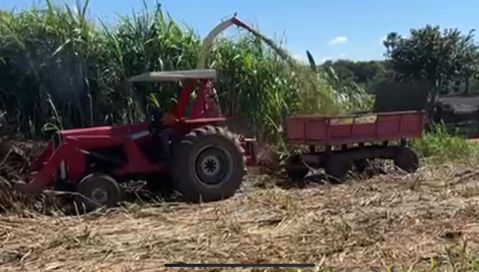 Trator Massey Ferguson 275 com Capota, Motor Feito (50H), Direção H, Lâmina Baldan e Comando Duplo!