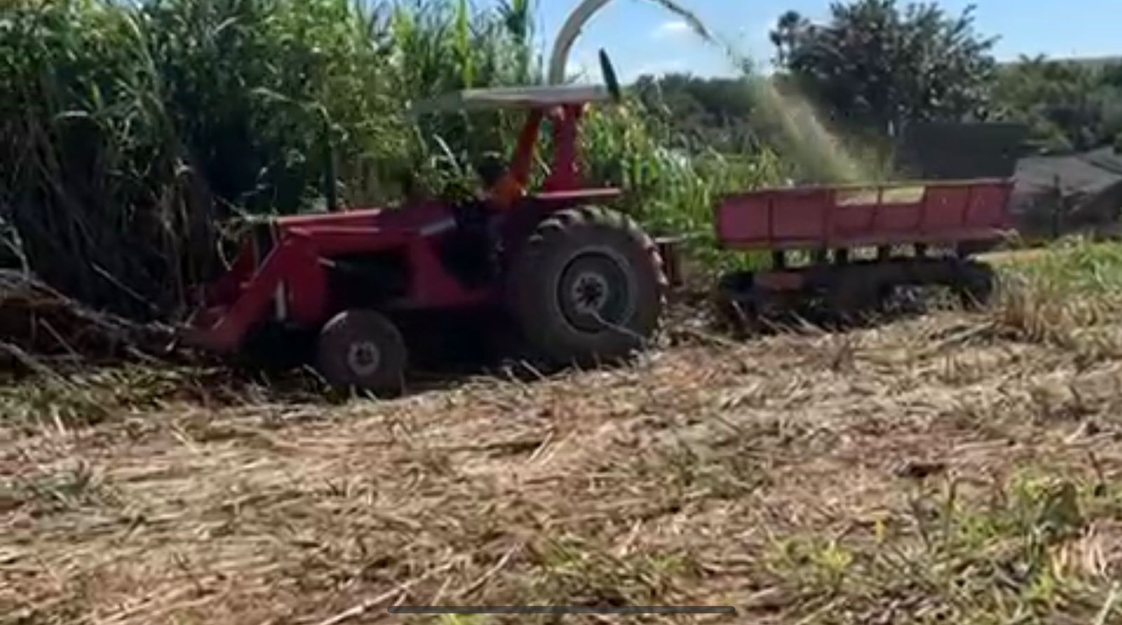 Trator Massey Ferguson 275 com Capota, Motor Feito (50H), Direção H, Lâmina Baldan e Comando Duplo!