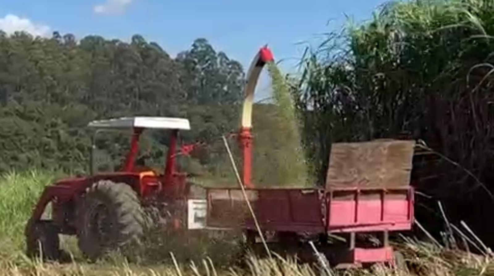 Trator Massey Ferguson 275 com Capota, Motor Feito (50H), Direção H, Lâmina Baldan e Comando Duplo!
