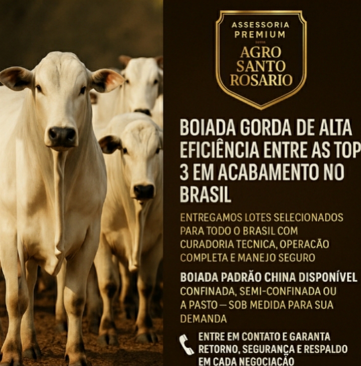 O GADO GORDO QUE O MERCADO DISPUTA ESTÁ AQUI